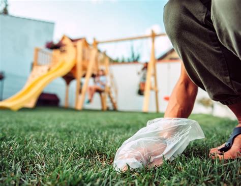 pet waste removal san anselmo|The Best 10 Pest Control near San Anselmo, CA 94960.